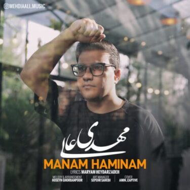 دانلود آهنگ جدید مهدی عالی منم همینم